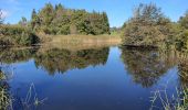 Trail Walking Menthonnex-en-Bornes - Tour du plateau des Bornes  - Photo 2