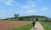 Percorso A piedi Hann. Münden - Panoramaweg - Bramwald - Photo 7