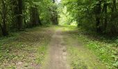 Tocht Stappen Saint-Hilaire - Saint-Hilaire - Géosite et abri gravé - Photo 15