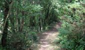 Trail Walking Clitourps - Clitourps  - Photo 9