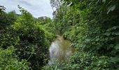 Randonnée Marche Gembloux - Balade à Bossière - Gembloux - Photo 20