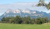Trail Walking Rimon-et-Savel - Rimon-et-Savel CKCC - Photo 13