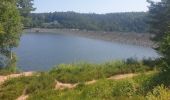 Randonnée Marche Celles-sur-Plaine - Du lac de la Plaine au lac de Vieux-Pré à Pierre-Percée - Photo 6