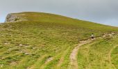 Excursión Senderismo Bouvante - Serre Montué ( petit et grand sommet) - Photo 10