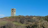 Trail Walking Saint-Pierre-Quiberon - PR_56_St-Pierre-Quiberon_BA_02_Circuit4a_Entre-Baie-Et-Ocean_20240303 - Photo 1