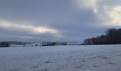 Trail Walking Havelange - Méan sous la neige  - Photo 1