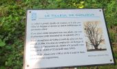 Trail Walking Ciney - Conjoux 300724 - Photo 19