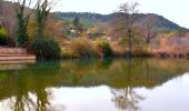 Randonnée Marche Sillans-la-Cascade - Traversée Sillans - Cascade - Chemin du train des pignes - Ruines chateau Salernes -  Piscine Salerne - Bord de rivière - Chapelle St Laurent - Photo 14