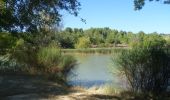 Trail Walking Laure-Minervois - LAURE MINERVOIS - Le sentier des Capitelles - Photo 4