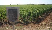 Trail On foot Beaune - Premiers Crus de Beaune - Photo 2