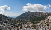 Percorso A piedi Grazalema - SALTO DEL CABRERO - Photo 5