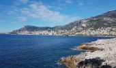 Randonnée Marche Roquebrune-Cap-Martin - cotier - Photo 12