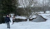 Tocht Stappen Büllingen - Honsfet - Photo 6