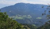 Tocht Stappen Lans-en-Vercors - Du col de croix de Perrin au Pas de Bellecombe - Photo 8