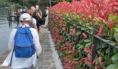 Excursión Senderismo Orta San Giulio - 20.06.2023 - Orta San Giulio - 3 - Photo 3