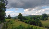 Tocht Stappen Comblain-au-Pont - qwadrifyon autour d´Oneux  - Photo 2