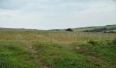 Tocht Te voet South Hams - Avon Estuary Walk - Photo 10