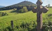 Tour Wandern Schnierlach - La tour du Faudé - Photo 15