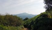 Excursión Senderismo Itxassou - Itxassou (pas de Roland) - Photo 7