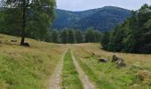 Trail Walking Metzeral - lac de schiessrothried par vallée de la wormsa  - Photo 1