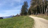 Trail Walking Laval-en-Belledonne - Les crêts, boucle du Fuzier + variante chemin des écoliers - Photo 2