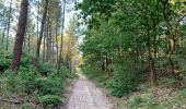 Trail Walking Vendays-Montalivet - Vendayes Montalivet CHM tour forêt des Abits et Crohots Nègre - Photo 5