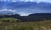 Trail Walking Beatenberg - Niederhorn - Photo 11