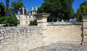 Randonnée Marche Saint-Laurent-Médoc - autour de Pauillac  - Photo 11