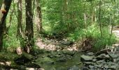 Tour Wandern Trooz - A la découverte de Nessonveaux 🥾 - Photo 2