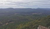 Tour Wandern Sainte-Anastasie-sur-Issole - chapelle St Quinis - Photo 8