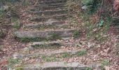 Trail Walking Ploulec'h - GR_34_EE_33_Ploulech_St-Michel-En-Greve_20241104 - Photo 4