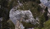 Randonnée Marche Saint-Pierre-de-Chartreuse - pas de rochebrune et de rocheplane  - Photo 1