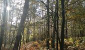Trail Walking Yvoir - GODINNE ... balade des feuilles mortes. - Photo 9