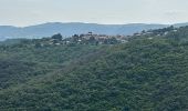 Trail  Saint-Privat - Grand mont Soumont Le Bosc  - Photo 1