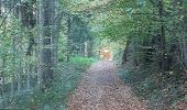 Trail Walking Newel - RÖMERPFAD - Photo 1