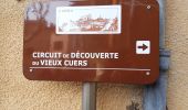 Tour Wandern Cuers - Le Castellas Cuers - Photo 14