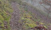 Tocht Stappen Vianden - Les panoramas de Vianden  - Photo 11