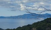 Tour Wandern Coti-Chiavari - rando des crêtes Coti Chjavari - Photo 2