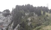 Tocht Noords wandelen Lans-en-Vercors - La Moucherotte - Photo 14