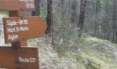 Trail Walking Sigale - trace cime de la cacia 30mars23 - Photo 5