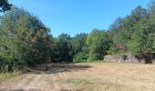 Tour Wandern Prades - codalet . coll de Clara . abbaye St Michel de Cuxa . canal bohère - Photo 11