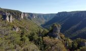 Trail Walking Le Rozier - corniches du Mejean - Photo 5