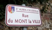 Trail Walking Belbeuf - 20221112-St Adrien - Photo 8