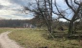 Trail On foot Rheden - Dwars door Gelderland (15) - Photo 5