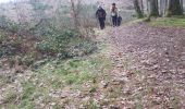 Tour Nordic Walking Stoumont - andrimont_borgoumont12_02_2023 - Photo 1