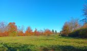 Trail Walking Eupen - nahtsief court - Photo 19