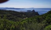 Excursión Senderismo La Ciotat - la Ciota le bec de l'aigle - Photo 2