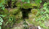 Tocht Stappen Meyrueis - Meyruies - Gorges de la Jonte - Grotte de Dagilan - Photo 15