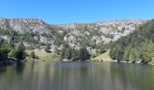 Tour Wandern Urbeis - Col du Wettstein - Hautes-Huttes - Lac du Forlet - Lac Vert - Photo 12