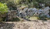 Tocht Mountainbike Riboux - LE LATAY - Photo 5